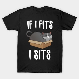 If I Fits I Sits (cat in a box) T-Shirt